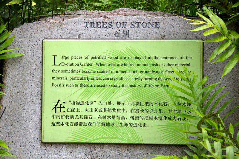 Photographer:Juergen Stamms