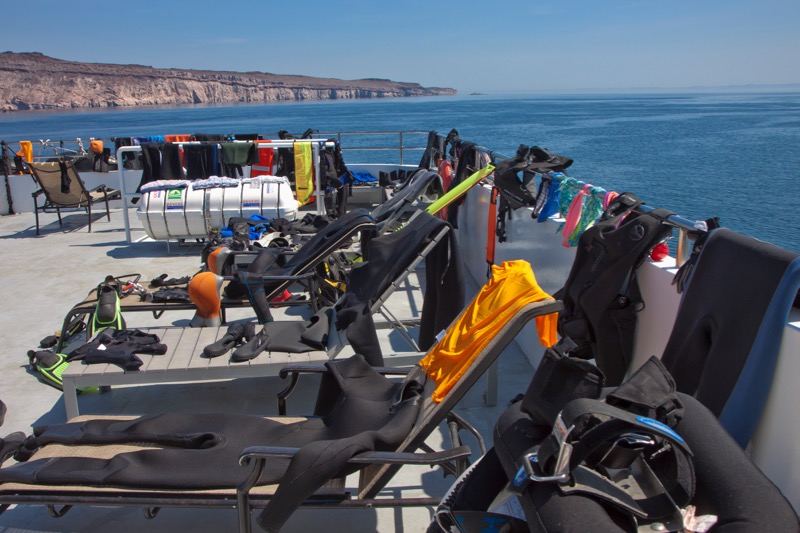 Photographer:
Juergen Stamms