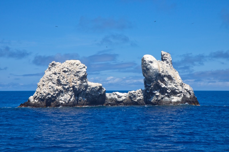 Photographer:
Juergen Stamms