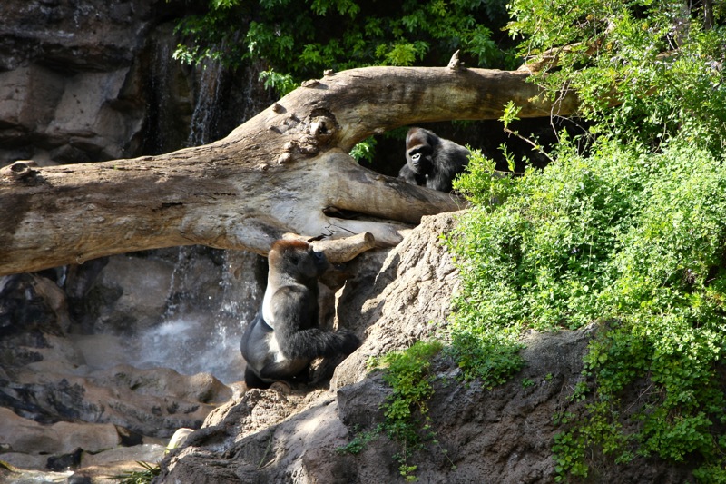 Photographer:
Juergen Stamms