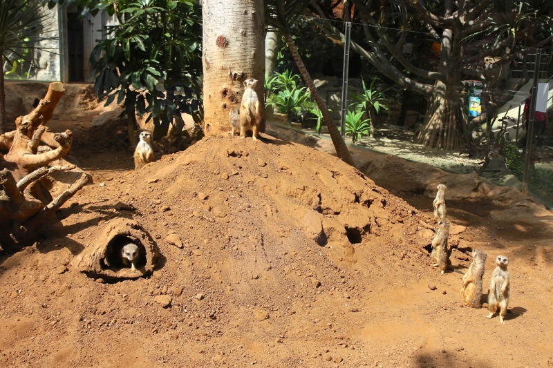 Photographer:
Juergen Stamms