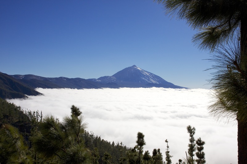 Photographer:
Juergen Stamms