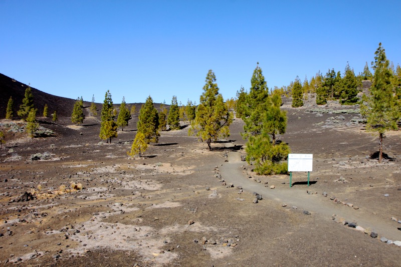 Photographer:
Juergen Stamms