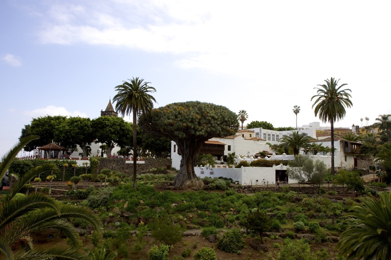 Photographer:
Juergen Stamms