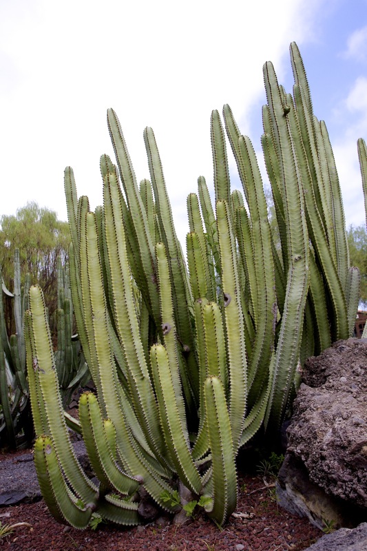 Photographer:
Juergen Stamms