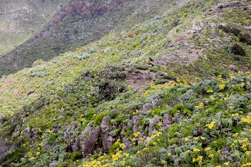 Photographer:
Juergen Stamms