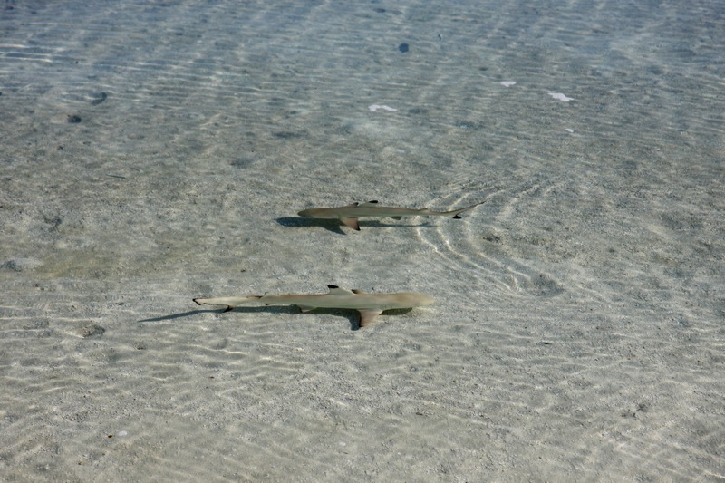 Photographer:Juergen Stamms