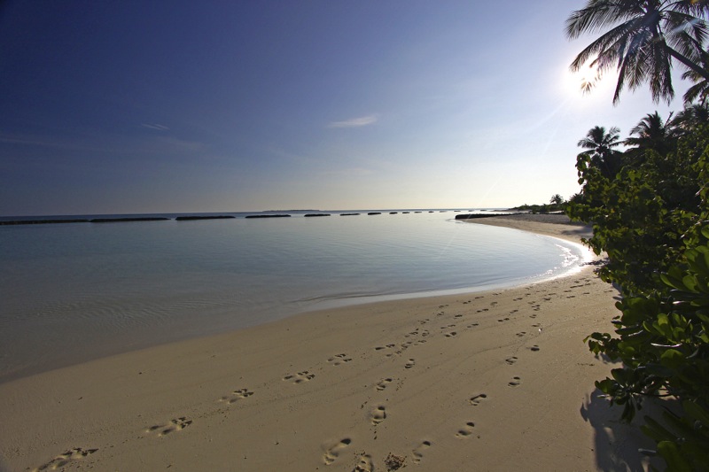 Photographer:
Juergen Stamms