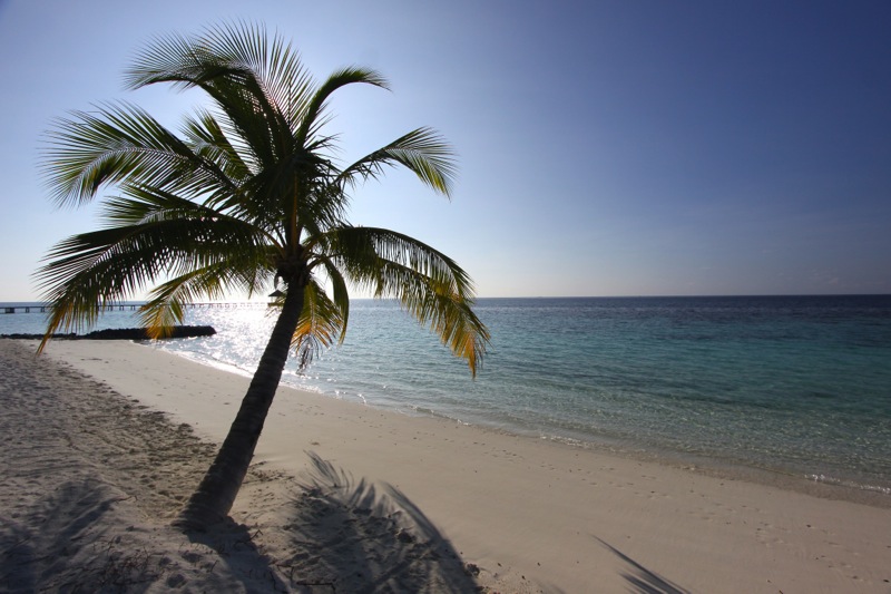 Photographer:Juergen Stamms