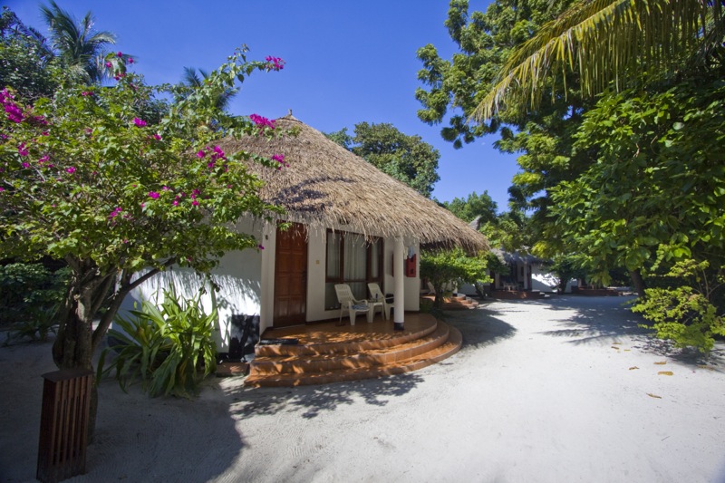 Photographer:
Juergen Stamms