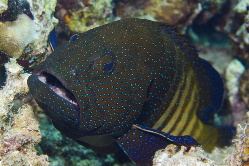 Photographer:
Juergen Stamms