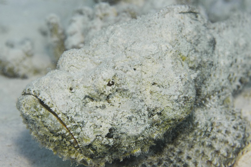 Photographer:
Juergen Stamms