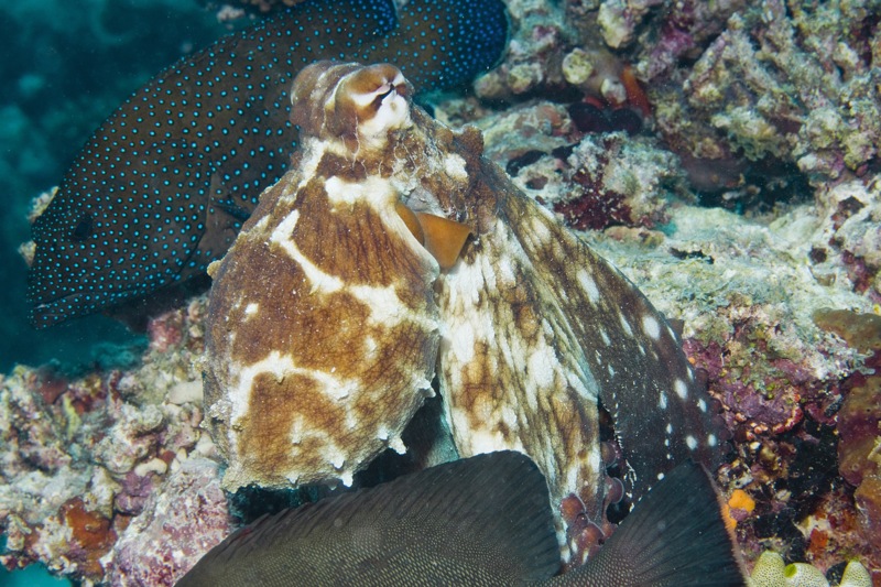 Photographer:
Juergen Stamms