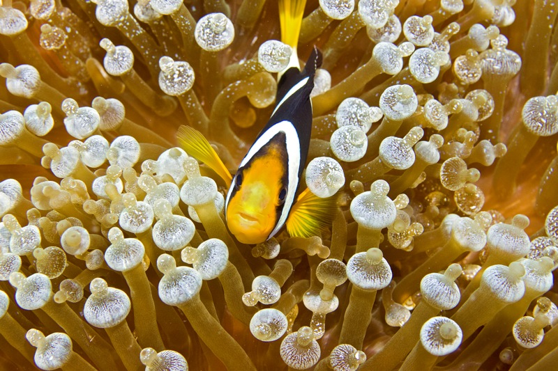 Photographer:
Juergen Stamms