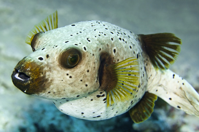 Photographer:
Juergen Stamms