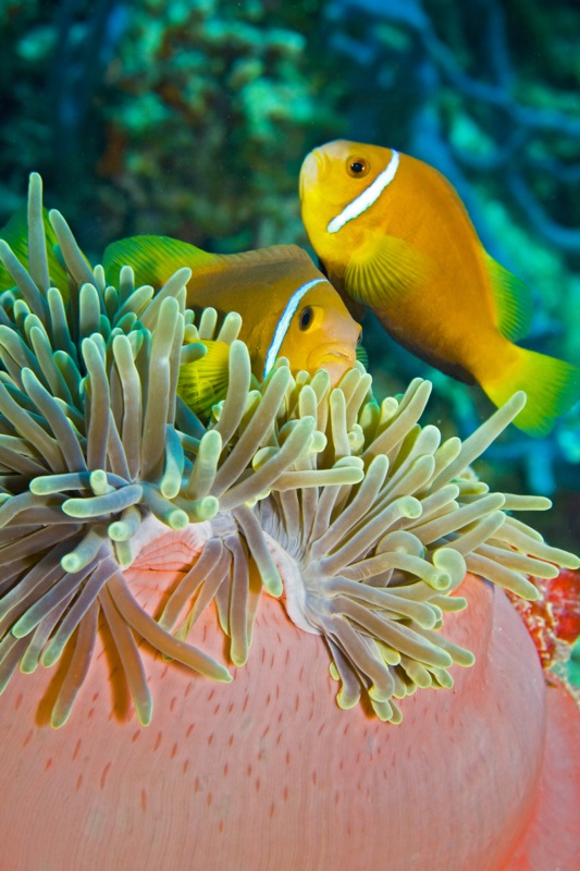 Photographer:
Juergen Stamms