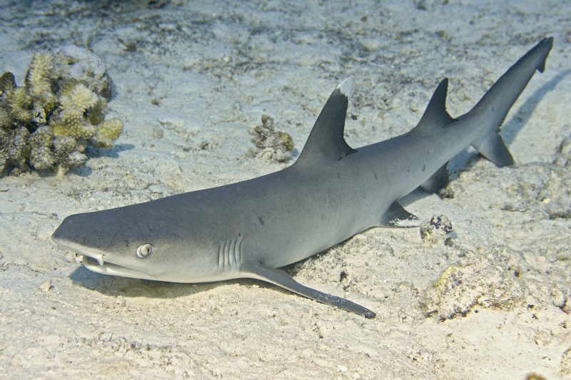 Photographer:
Juergen Stamms