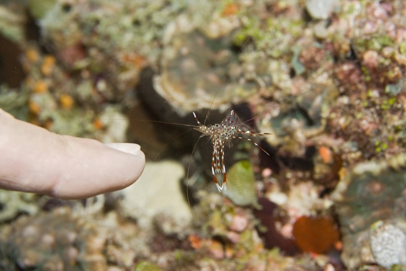 Photographer:
Juergen Stamms