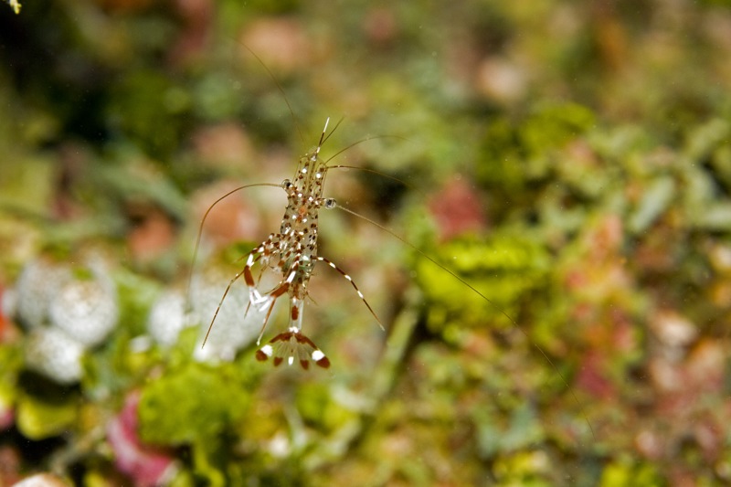 Photographer:
Juergen Stamms