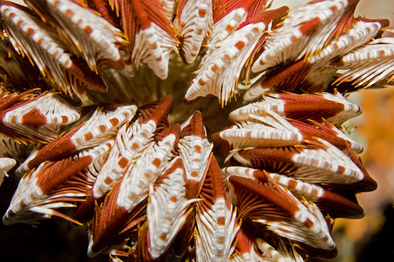 Photographer:
Juergen Stamms