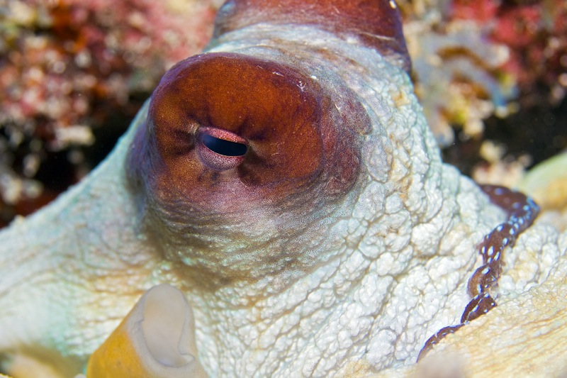 Photographer:
Juergen Stamms