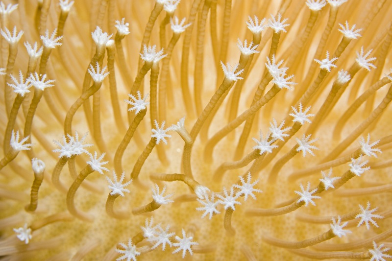 Photographer:
Juergen Stamms