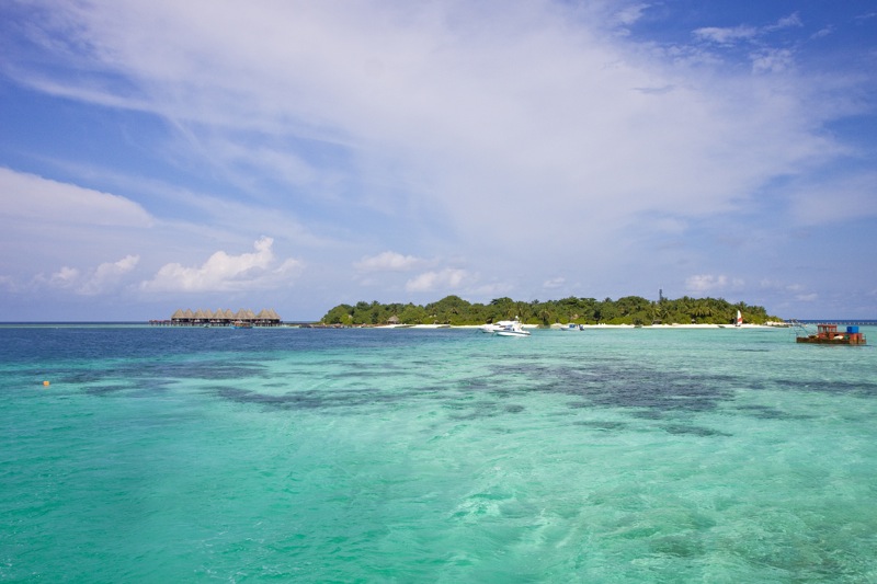 Photographer:
Juergen Stamms